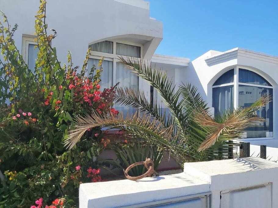 فيلا Brisa Marina House By The Sea كوراليهو المظهر الخارجي الصورة